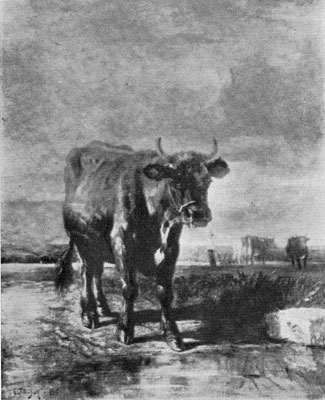 539 OX. 1851